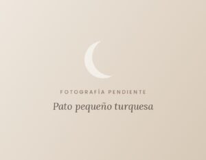 Pato pequeño turquesa